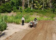 Polsek Labuhan Haji lakukan Pengecekan Kesiapan Lokasi Penanaman Program Ketahanan