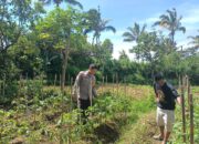 Silaturahmi dan Pengecekan Lahan Pekarangan Lestari dilakukan Bhabinkamtibmas Desa Jurit Baru