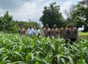 Tim dari Itwasum Mabes Polri Lakukan Pengecekan Kesiapan Polres Lotim Dalam Mendukung Program Ketahanan Pangan