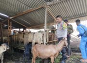 Bripka Agus Salim Pantau Pelaksanaan Program Ketahanan Pangan di Desa Binaan Berjalan Dengan Baik