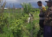 Bhabinkamtibmas Desa Mamben Daya Lakukan Pengecekan Program Ketahanan Pangan Bergizi (P2B) di Dusun Bagek Longgek