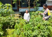 Bhabinkamtibmas Peresak Sambangi Pekarangan Pangan Bergizi Warga Binaannya