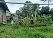 Bhabinkamtibmas Desa Jurit Baru Lakukan Pengecekan Lahan Pekarangan Guna Terwujunya Program Ketahanan Pangan