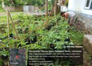 Bhabinkamtibmas Desa Kalianyar Cek Lahan P2B dan Penanaman Sayuran Guna Berjalannya Program Ketahanan Pangan