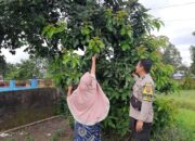 Dukung Program Swasembada Pangan, Bhabinkamtibmas Desa Timbanuh Lakukan Kunjungan ke Petani Alpukat