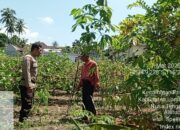 Pengecekan Lahan Ketahanan Pangan Bergizi di Desa Apitaik