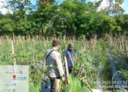 Bhabinkamtibmas Desa Pengadangan Bersama Kelompok Tani Cek Lahan Program Ketahanan Pangan Bergizi