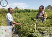 Bhabinkamtibmas Desa Pringgabaya Lakukan Pengecekan Irigasi dalam Program Ketahanan Pangan Bergizi (P2B)