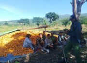 Bhabinkamtibmas Desa Gunung Malang Sambangi Warga Dukung Program Ketahanan Pangan Bergizi