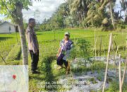 Konsep OtomatiBhabinkamtibmas Desa Pringga Jurang Lakukan Pengecekan dan Pemeliharaan Program Ketahanan Pangan Bergizi