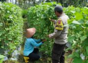Bhabinkamtibmas Desa Lendang Nangka Utara Cek Lahan Ketahanan Pangan Bergizi