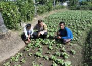 Bripka Agus Salim Silaturahmi dan Pantau Program Ketahanan Pangan di Desa Binaan