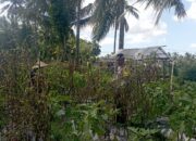 Bhabinkamtibmas Desa Kesik Cek Lahan Program Ketahanan Pangan Bergizi di Dusun Lengkok Ratu