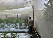 Bhabinkamtibmas Desa Kumbang Sambangi Warga dan Monitoring Ketahanan Pangan