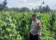 Bhabinkamtibmas Desa Kumbang Laksanakan Silaturahmi dan Monitoring Ketahanan Pangan