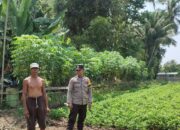 Bhabinkamtibmas Desa Paokmotong Monitoring Pekarangan Bergizi dan Berikan Himbauan Kamtibmas