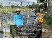 Pengecekan Program Ketahanan Pangan Bergizi (P2B) oleh Bhabinkamtibmas di Pringgasela Timur