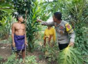 Bhabinkamtibmas Desa Bagik Papan Bersinergi Dukung Ketahanan Pangan dan Keamanan Masyarakat