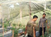 Bhabinkamtibmas Desa Kumbang Laksanakan Silaturahmi Dan Monitoring Ketahanan Pangan