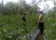 Personel Polsek Masbagik Cek Lahan Ketahanan Pangan Bergizi
