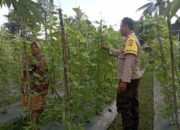 Bhabinkamtibmas Desa Kesik Cek Lahan Ketahanan Pangan Bergizi Bersama Warga