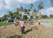 Bhabinkamtibmas Pringgasela Selatan Aipda Zamroni Tinjau Kegiatan Panen dan Imbau Warga Jaga Kamtibmas