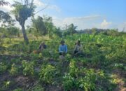 Bhabinkamtibmas Desa Suwangi Timur dukung Program Ketahanan Pangan sembari Sambangi Warga binaan