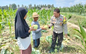 Bhabinkamtibmas Desa Bagik Papan Lakukan Pengecekan Lahan Ketahanan Pangan dan Silaturahmi dengan Warga