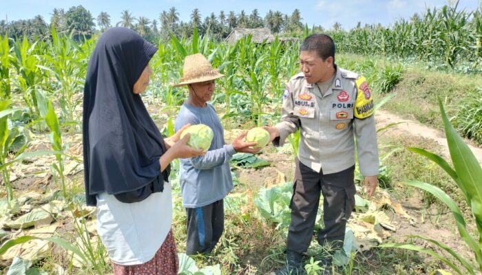 Bhabinkamtibmas Desa Bagik Papan Lakukan Pengecekan Lahan Ketahanan Pangan dan Silaturahmi dengan Warga