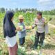 Bhabinkamtibmas Desa Bagik Papan Lakukan Pengecekan Lahan Ketahanan Pangan dan Silaturahmi dengan Warga