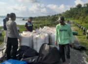 Kapolsek Terara Tinjau Hasil Panen Jagung di Desa Pandanduri