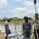 Giat Silaturahmi Dan Cek Tanaman Tomat, Bhabinkamtibmas Desa Bagik Papan Ajak Warga Dukung Program Ketahanan Pangan