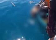 Kasat Polair Polres Lombok Timur Pimpin Evakuasi Korban Terseret Arus